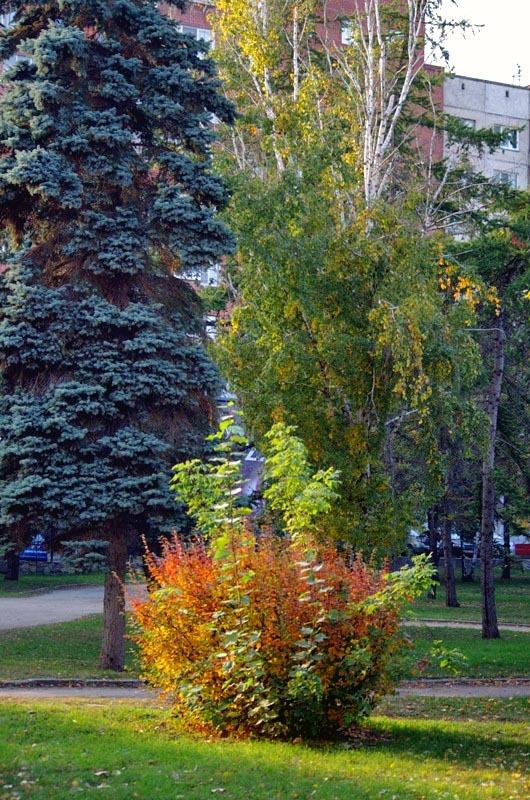 Фото В сентябре-2014