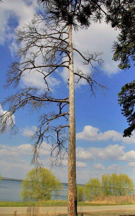Фото ВЕСНА БЫЛА. 