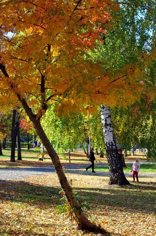 Фото В сентябре-2014