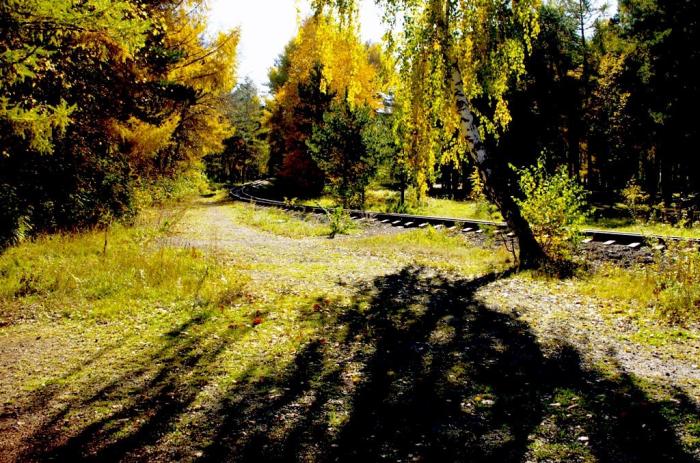 Фото Под небом