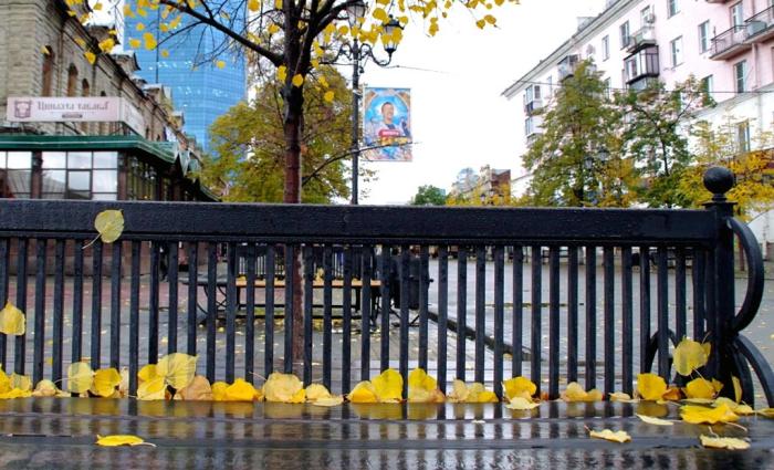 Фото Мокрый блюз