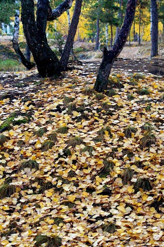 Фото Октябрь-2014.