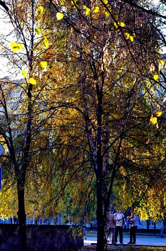 Фото Октябрь-2014.