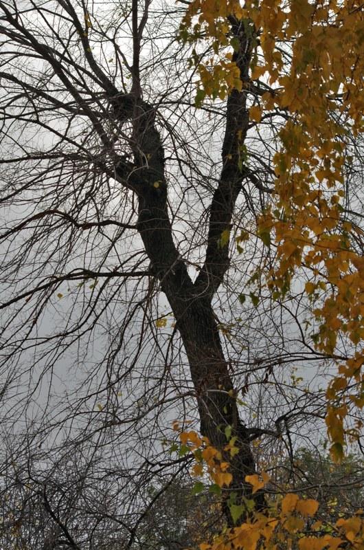 Фото Октябрь-2014.
