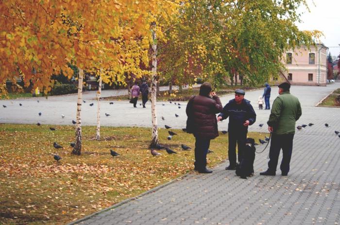 Фото В октябре-2014