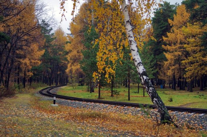 Фото В октябре-2014