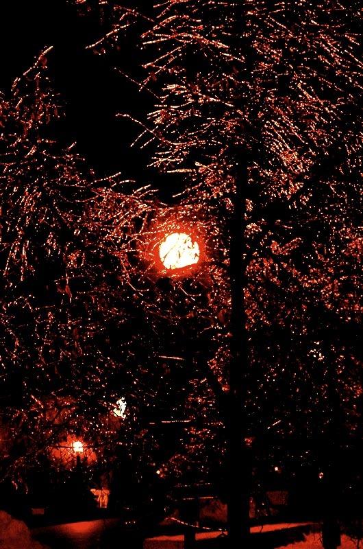 Фото Ледяной дождь