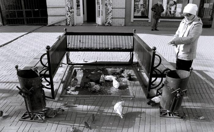 Фото Черно-белая Кировка в октябре