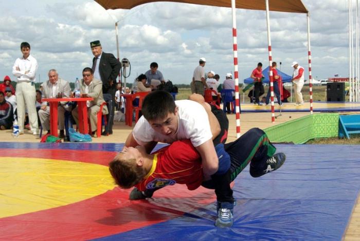 Фото Российский Сабантуй-2012 в Челябинске. Байга, куреш… 