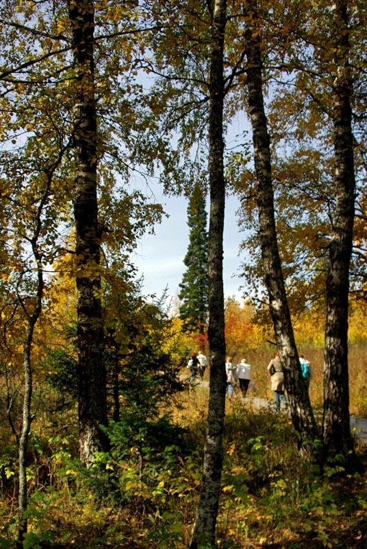 Фото Зюраткуль, осень. 