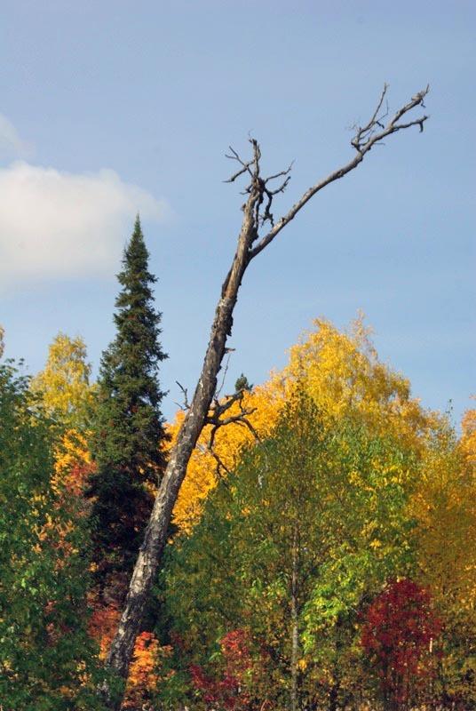 Фото Зюраткуль, осень. 