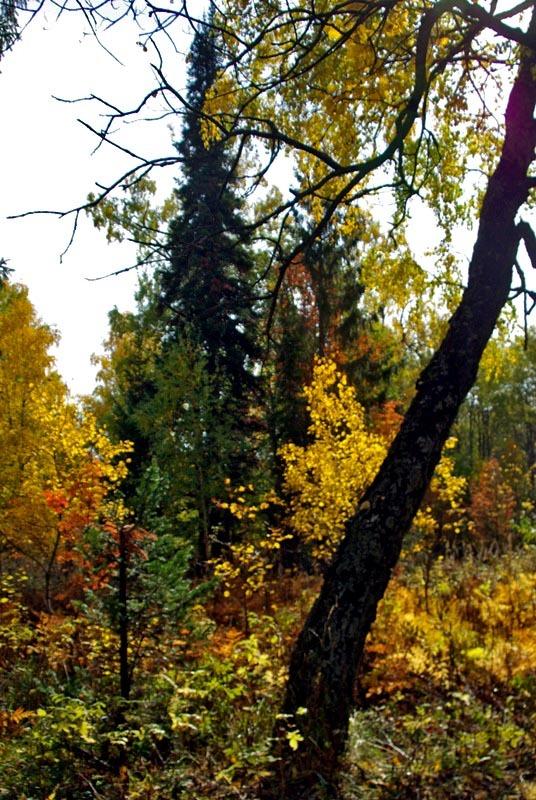 Фото Зюраткуль, осень. 