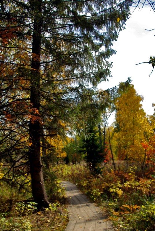 Фото Зюраткуль, осень. 