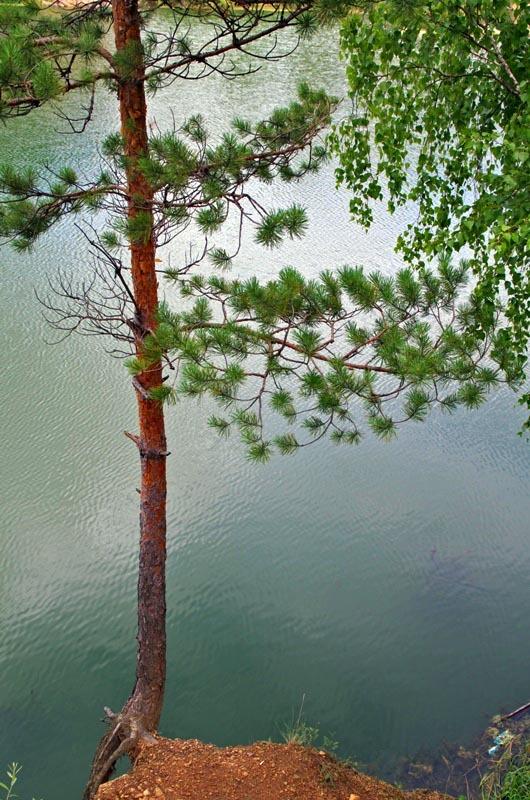 Фото Холодный июль-2014 года