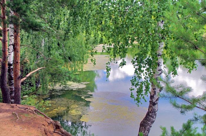 Фото Холодный июль-2014 года