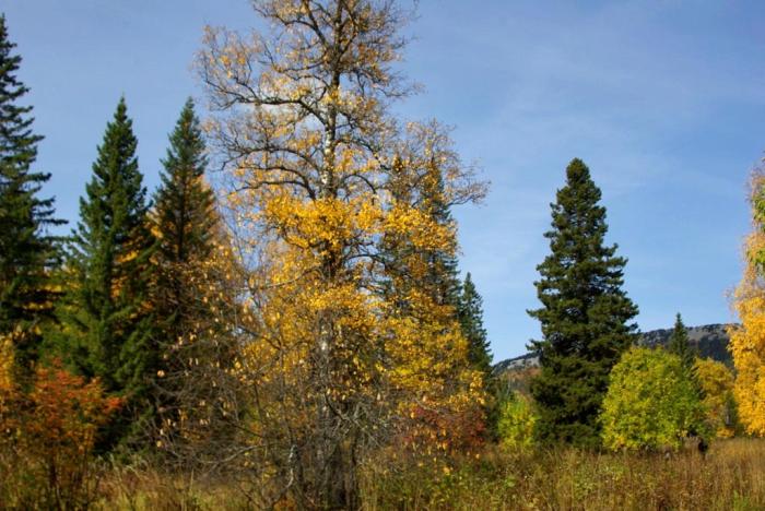 Фото Зюраткуль, осень. 