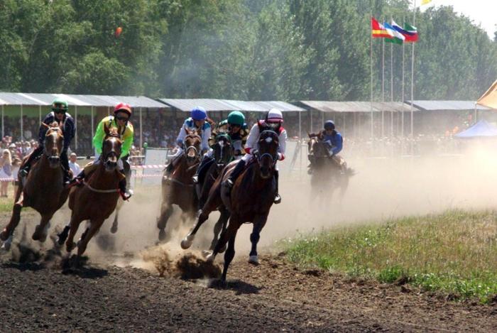 Фото Российский Сабантуй-2012 в Челябинске. Байга, куреш… 