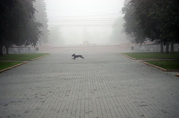 Фото СВЕТЛЫЕ ЛЮДИ-2. Фото: Валерий Иванов