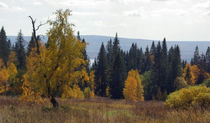 Фото Зюраткуль, осень. 