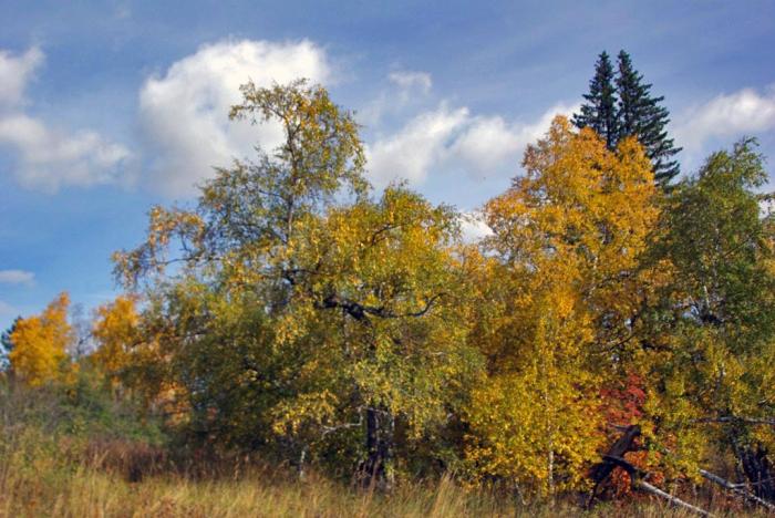 Фото Зюраткуль, осень. 