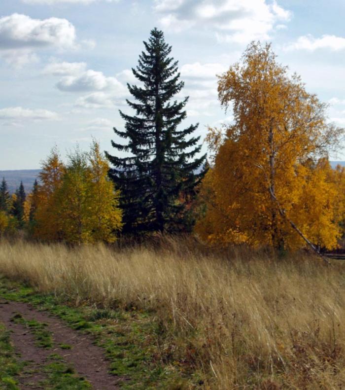 Фото Зюраткуль, осень. 