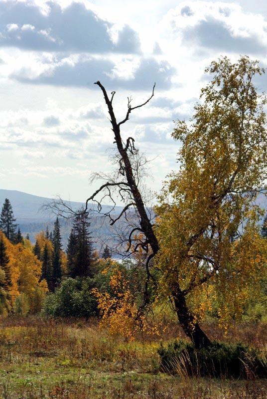 Фото Зюраткуль, осень. 