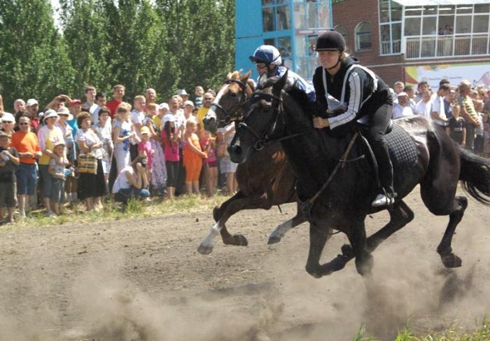 Фото Российский Сабантуй-2012 в Челябинске. Байга, куреш… 