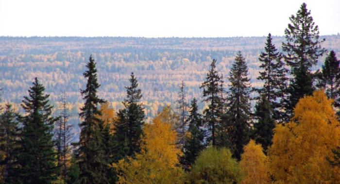 Фото Зюраткуль, осень. 