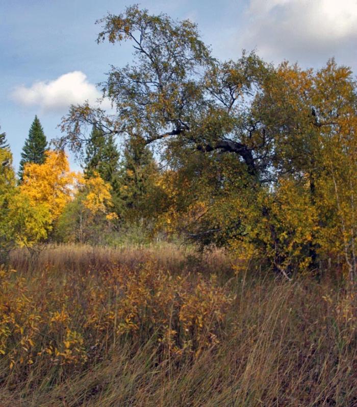 Фото Зюраткуль, осень. 