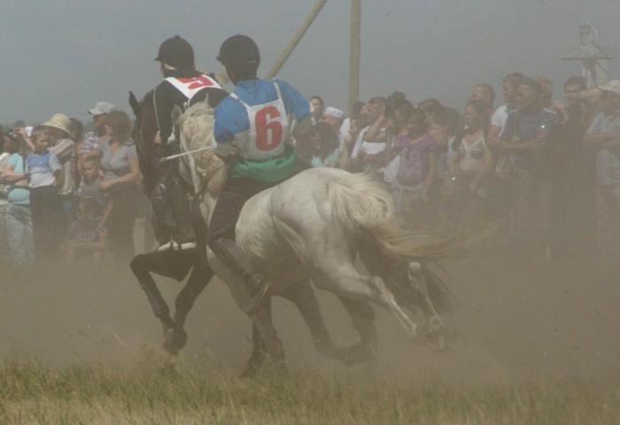 Фото Российский Сабантуй-2012 в Челябинске. Байга, куреш… 