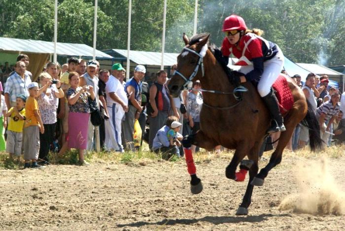 Фото Российский Сабантуй-2012 в Челябинске. Байга, куреш… 