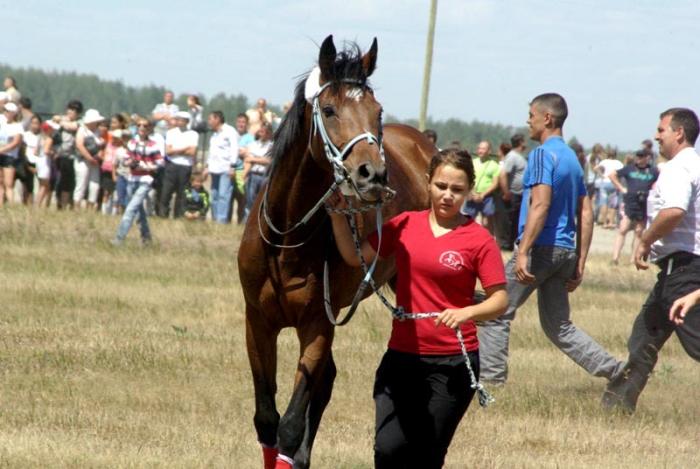 Фото Российский Сабантуй-2012 в Челябинске. Байга, куреш… 
