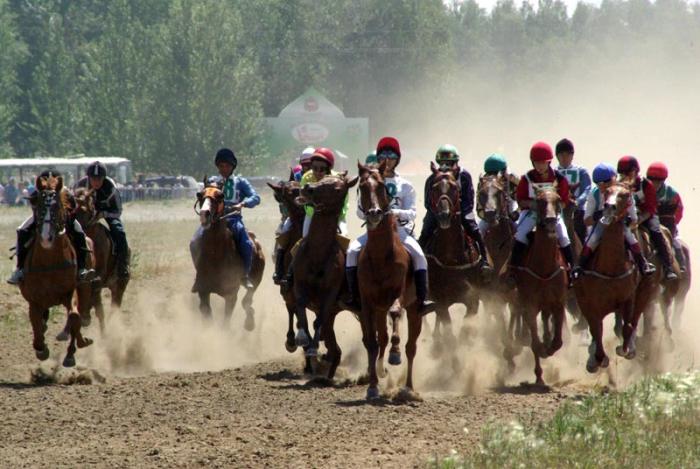 Фото Российский Сабантуй-2012 в Челябинске. Байга, куреш… 