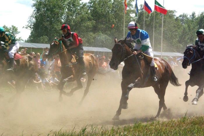 Фото Российский Сабантуй-2012 в Челябинске. Байга, куреш… 