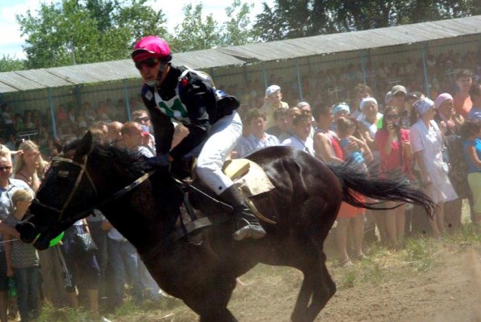 Фото Российский Сабантуй-2012 в Челябинске. Байга, куреш… 