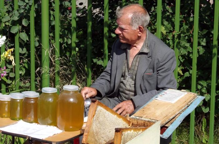 Фото Выставка плодов и цветов-2013 в Челябинске