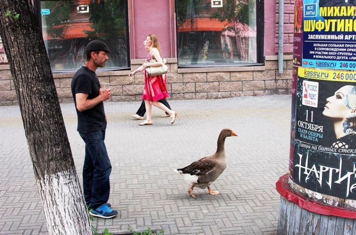 Фото В Челябинске 21-22 июня 2016 года