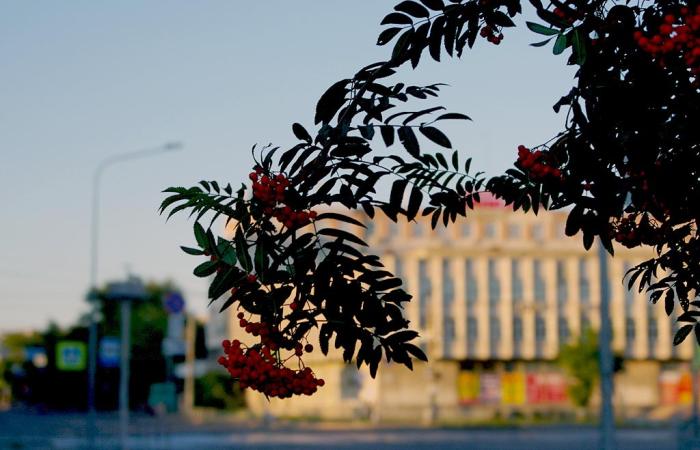 Фото Август-2015 в Челябинске