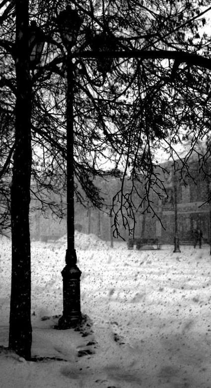 Фото Проходит жизнь, мгновенья остаются. Валерий Иванов