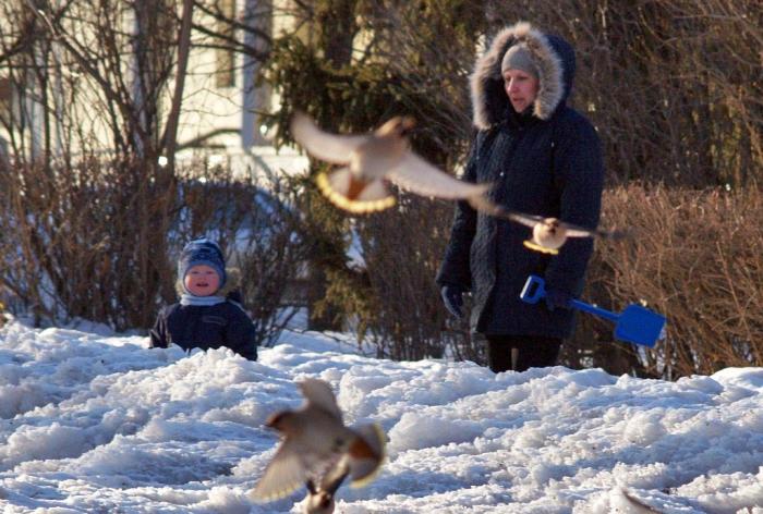 Фото ВЕСНА БЫЛА. 