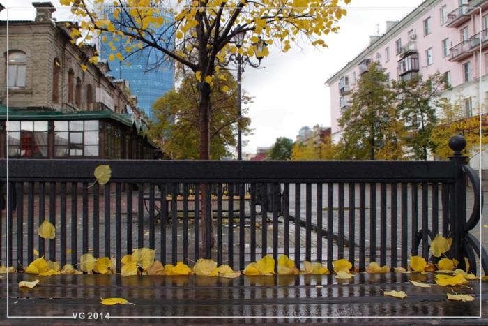 Фото Валерий Иванов. Мокрый блюз. Отточие