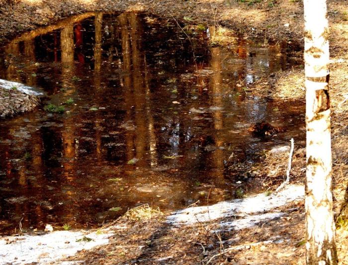 Фото Челябинск и челябинцы.Апрель-2007