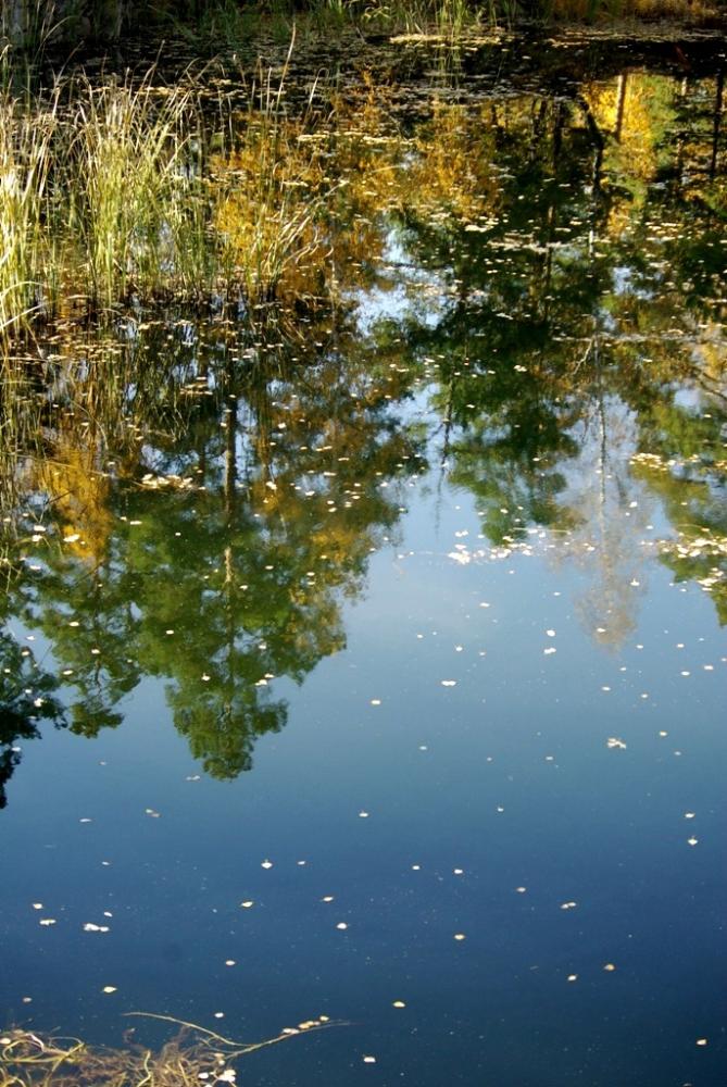 Фото Времена года. Октябрь-2008