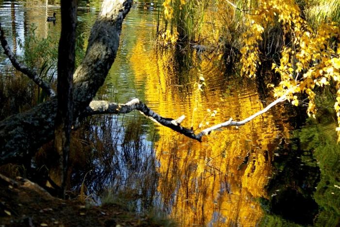 Фото Времена года. Октябрь-2008