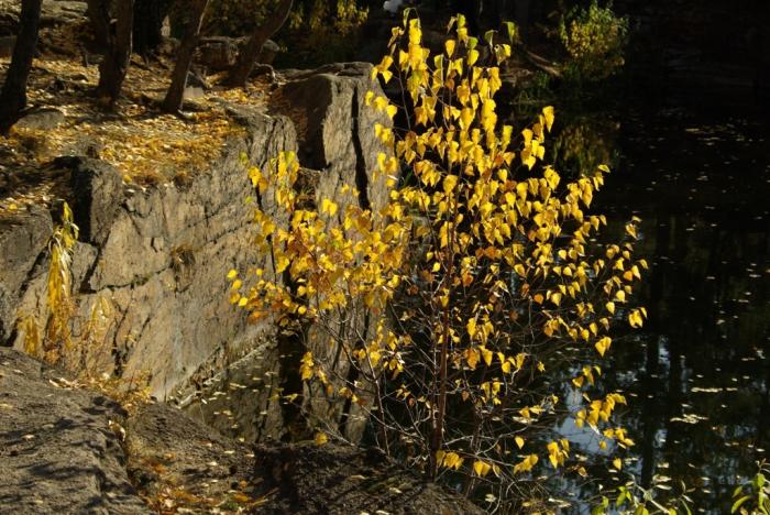 Фото Времена года. Октябрь-2008