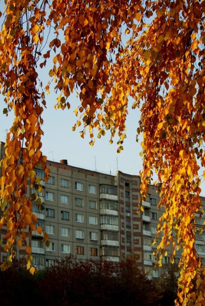 Фото Времена года. Октябрь-2008