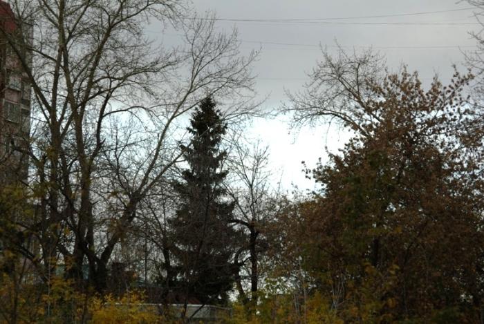 Фото Времена года. Октябрь-2008