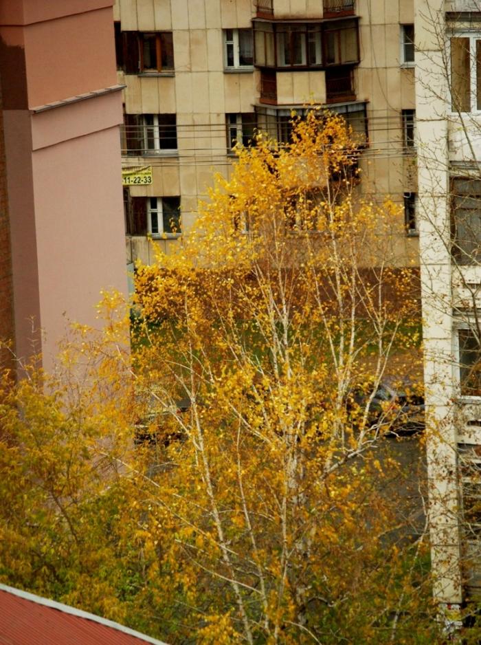 Фото Времена года. Октябрь-2008