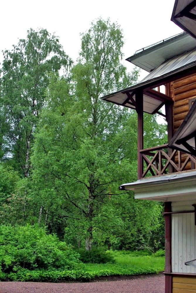 Фото Репино. Пенаты 