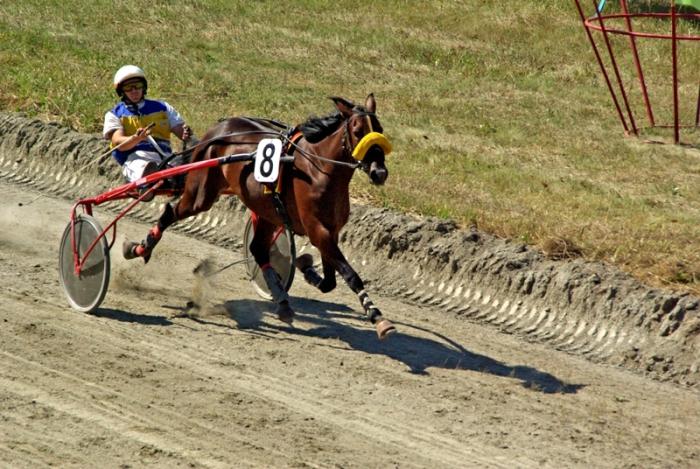 Фото Конные скачки. Кубок губернатора 2010